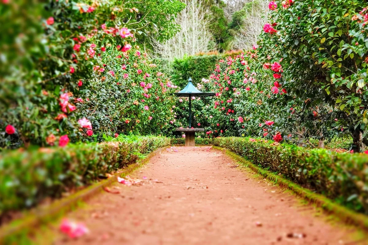 Gardening Services